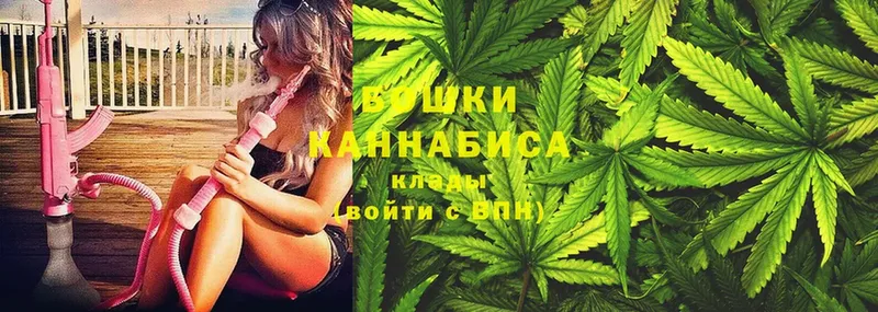 Бошки марихуана White Widow  нарко площадка какой сайт  Гусиноозёрск  закладка 